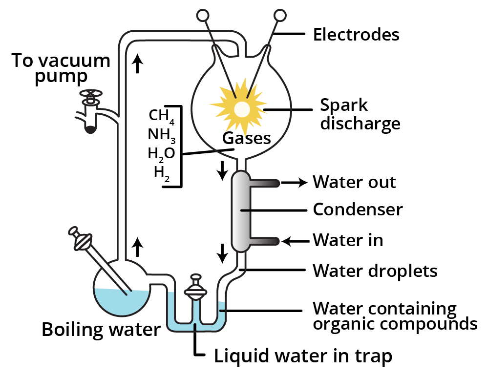Miller’s Experiment